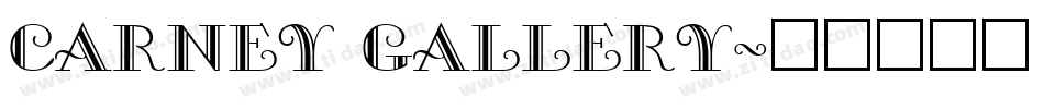 carney gallery字体转换